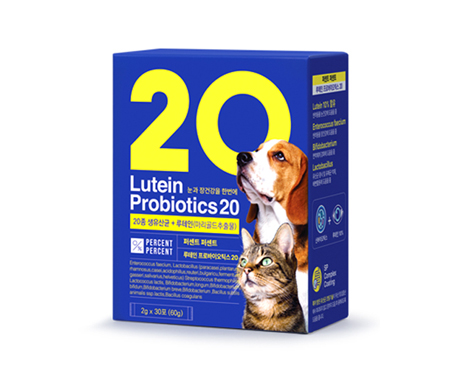  ι̿ƽ 20 